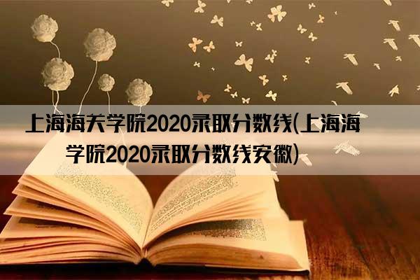 上海海关学院2020录取分数线(上海海关学院2020录取分数线安徽)